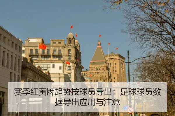 赛季红黄牌趋势按球员导出：足球球员数据导出应用与注意